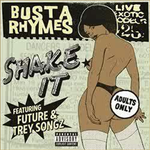 busta rhymes shake it