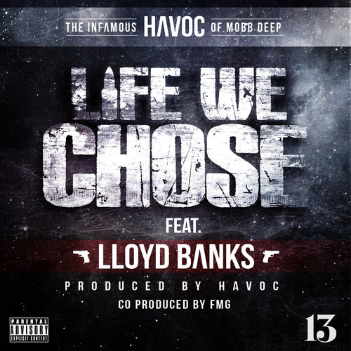 life we chose havoc