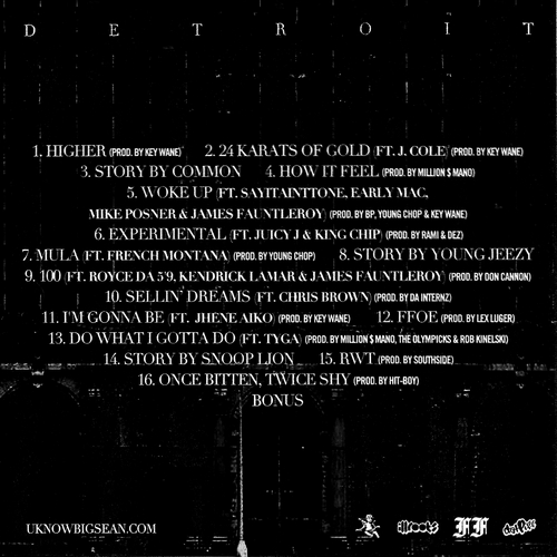 Detroit-back