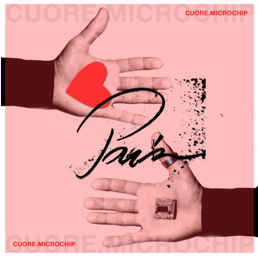 pain_cuore_microchip