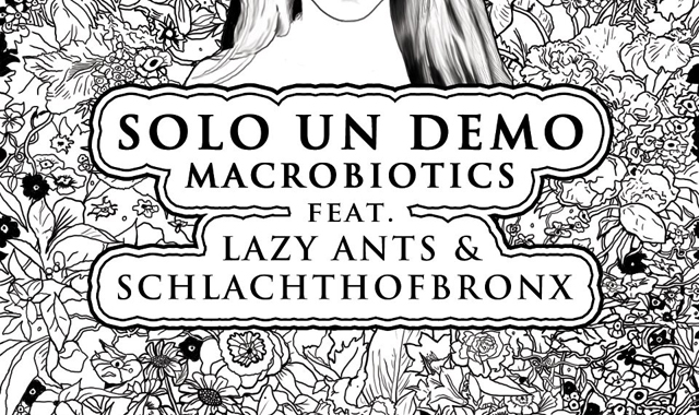 solo un demo macrobiotics